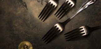 Crypto Hard Fork and Soft Fork