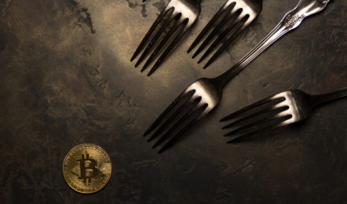 Crypto Hard Fork and Soft Fork