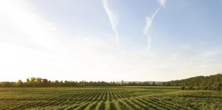 Satellite-based Remote Monitoring And Analytics For Making Grounded Farm Loan Decisions