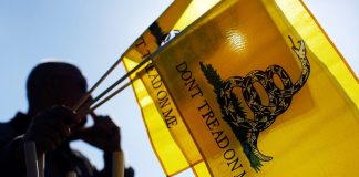 Libertarian