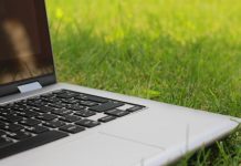 How to Grow a Sustainable Business in 2023