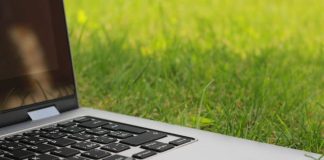 How to Grow a Sustainable Business in 2023