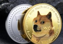 Woof or Puff? The Dog Coin Phenomenon Woof or Puff The Dog Coin Phenomenon