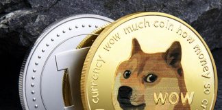 Woof or Puff The Dog Coin Phenomenon