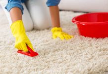 The Benefits of Regular Carpet Cleaning Services for Allergy Sufferers Carpet