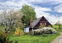 How to Prepare for a Major Garden Renovation Garden Renovation