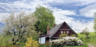 Garden Renovation