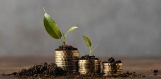The Power of Financial Education