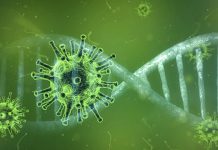 The World of Viral Vectors Revealed: A Closer Look at Three Well-Known Types Viral Vectors