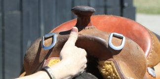 horse saddle