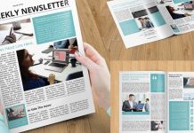 Best Investment Newsletters | Elevate Your Investing Game This Year newsletter