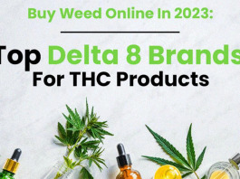 Buy Weed Online in 2023: Top Delta 8 Brands for THC Products Delta Brands