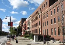 From Teaching to Research Explore the Wide Range of Jobs at Boston University (1)