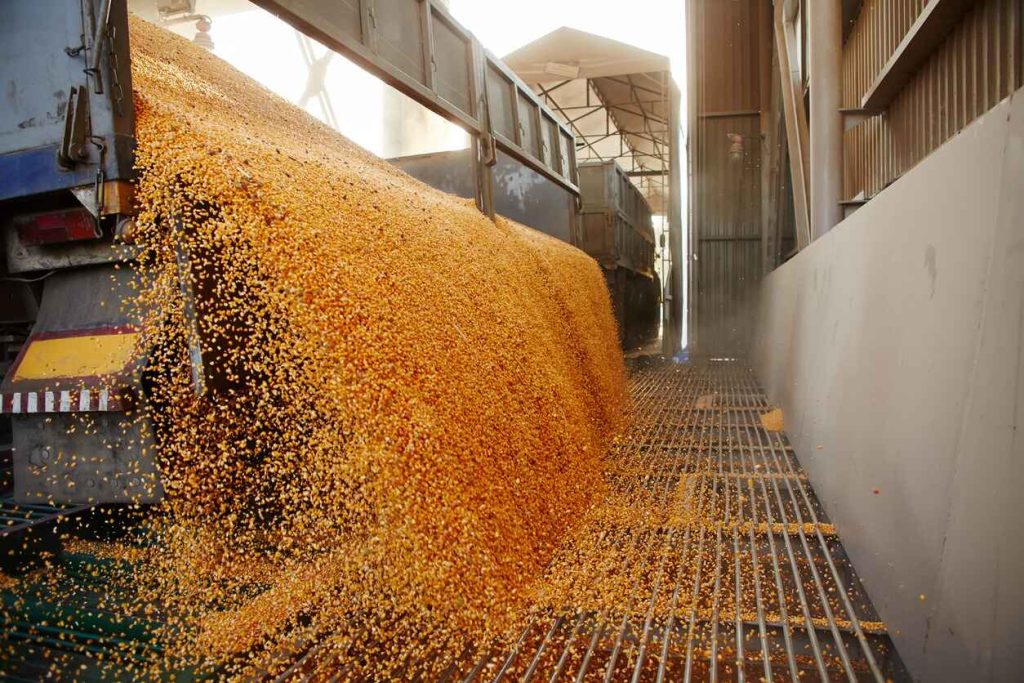 Understanding the Basics of Grain Trading in the US The World