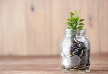 A Beginner's Guide to Understanding Managed Funds