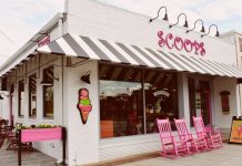 The Sweet Success of Ice Cream Parlors Why Starting Your Own Scoop Shop is the Coolest Idea