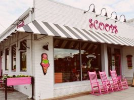 The Sweet Success of Ice Cream Parlors Why Starting Your Own Scoop Shop is the Coolest Idea