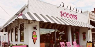 The Sweet Success of Ice Cream Parlors Why Starting Your Own Scoop Shop is the Coolest Idea