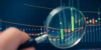 Unusual Whales Review - Is This Trading Tool Worth Using