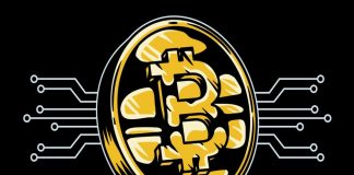 Black Banx Thriving Amidst Crypto Market Turbulence 