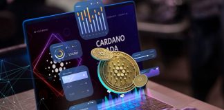 Crypto Newbies Stand