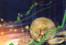 What Will Be the Future of Cryptocurrencies, Digital Dollars and Real Money? Future of Cryptocurrencies