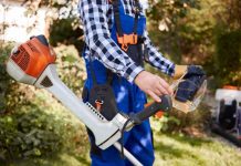 Transform Your Backyard into a Stunning Oasis with These 10 Maintenance Tips Gardener