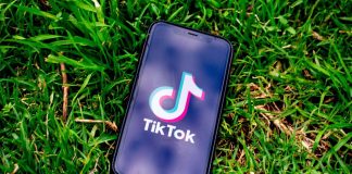 TikTok Likes The Ultimate Guide to Going Viral Overnight