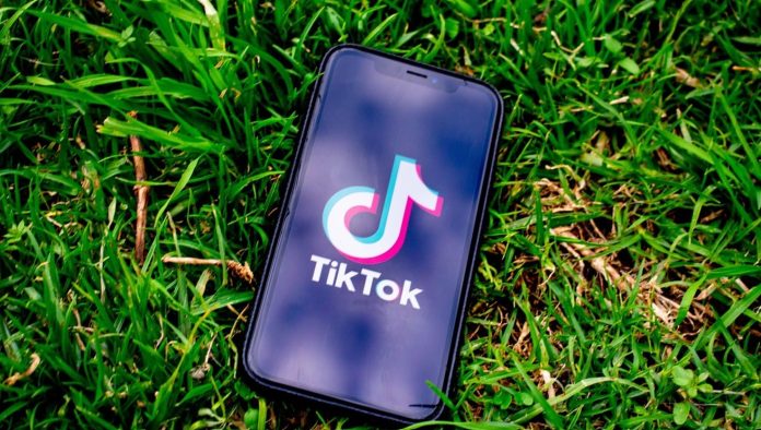 TikTok Likes The Ultimate Guide to Going Viral Overnight