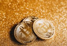 Unlocking Alternatives Asset Classes – How Crypto Adds a New Dimension to Your Investment Portfolio Unlocking Alternatives Asset Classes – How Crypto Adds a New Dimension to Your Investment Portfolio