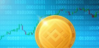 Blockchain Network
