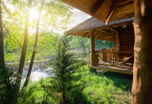 Eco Friendly Home