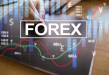 True Forex Funds Review An In-Depth Analysis 