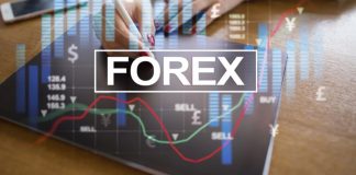 True Forex Funds Review An In-Depth Analysis 