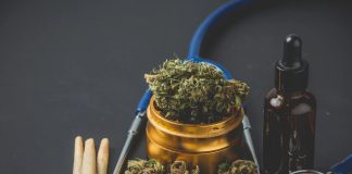 Unveiling the Earliest Known Instances of Cannabis Consumption