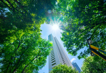 environmental management