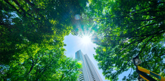 environmental management