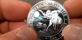 JM Bullion Review
