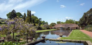 Architectural Gems Off the Beaten Path Hidden Treasures in Surrey