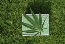 Choosing Your CBD Partner: Tips for Finding a Brand That Aligns with Your Values Choosing Your CBD Partner: Tips for Finding a Brand That Aligns with Your Values