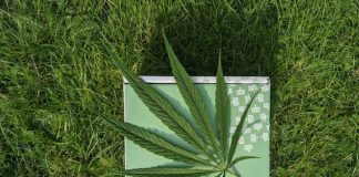 Choosing Your CBD Partner: Tips for Finding a Brand That Aligns with Your Values