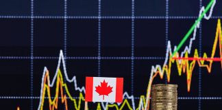 Stock Market