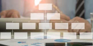 Why Organization Charts are Crucial for Small Businesses to Utilize