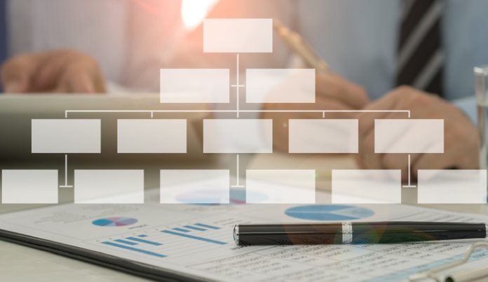 Why Organization Charts are Crucial for Small Businesses to Utilize