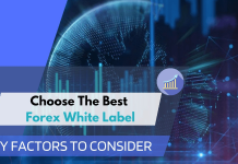 Choose The Best Forex White Label – Key Factors To Consider Forex
