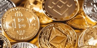 Should You Invest in Bitcoin or Altcoins