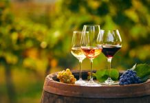 Pinot Noir: A Guide to Discovering the Delicate Wine Sensation iStock-1301017778