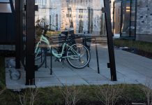 Bike Shelter Design Trends: Merging Functionality with Aesthetics