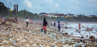 Waste Recycling Efforts