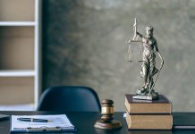 Intellectual Property Lawyer